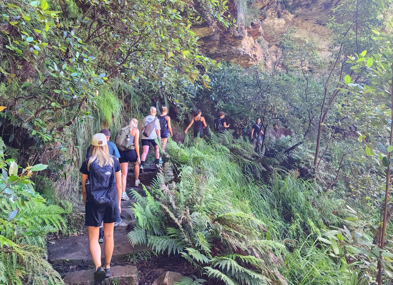 Fra Sydney: Blue Mountains-tur med vandfaldsvandring og frokost
