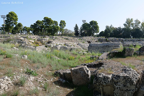 De Catane: visite culturelle et historique de Syracuse et Noto