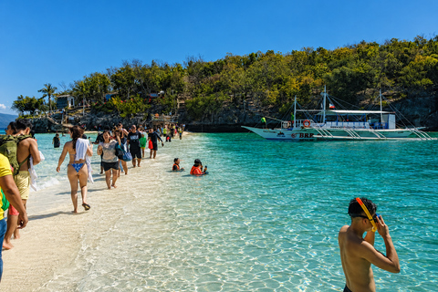Cebu: Whale Sharks, Sumilon & Pescador Island Tour