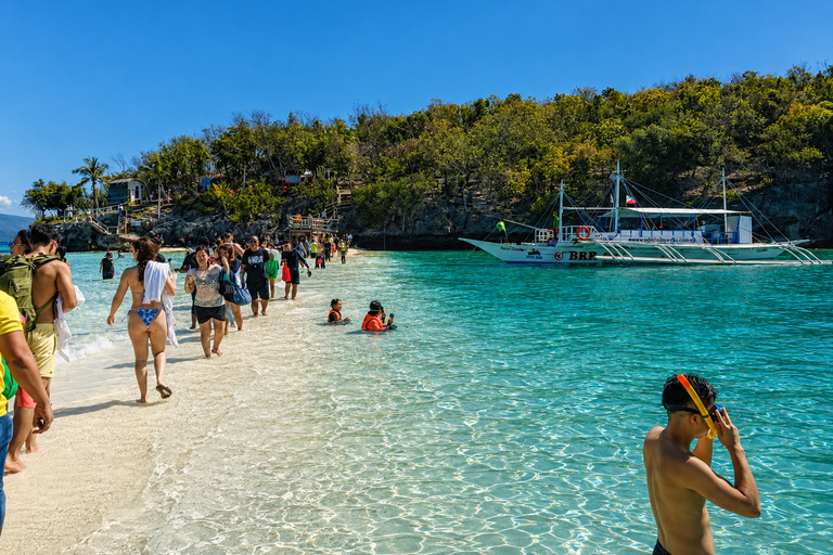 Cebu: Whale Sharks, Sumilon & Pescador Island Tour