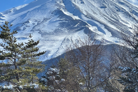 Mt Fuji Sightseeing Private tour with English Speaking Guide