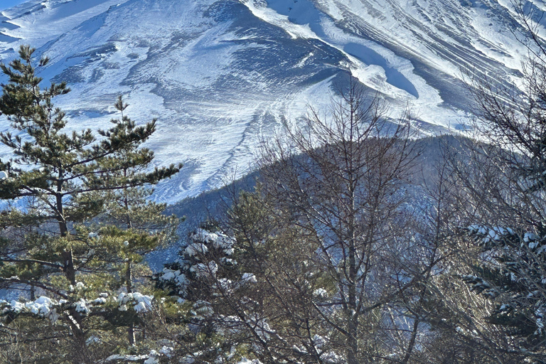 Mt Fuji Sightseeing Private tour with English Speaking Guide