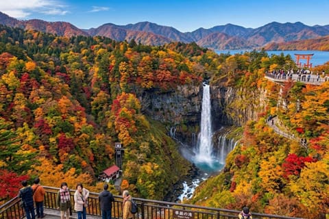 Tokyo : Nikko Private Customizable Tour with English Guide - Image 2