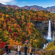 Tokyo : Nikko Private Customizable Tour with English Guide