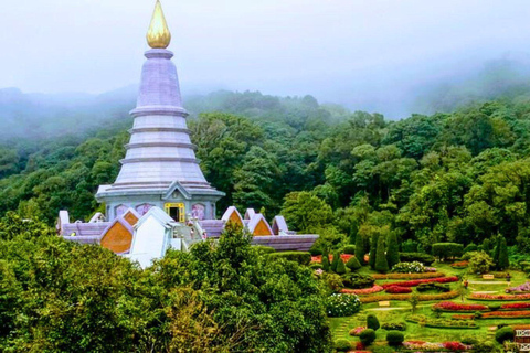 Chiang Mai: Doi Inthanon nationalpark och Pha Dok Siew Trek