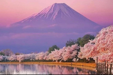 Mt Fuji Sightseeing Private tour with English Speaking Guide
