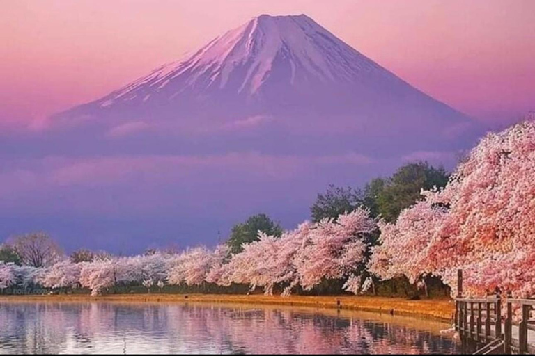 Mt Fuji Sightseeing Private tour with English Speaking Guide
