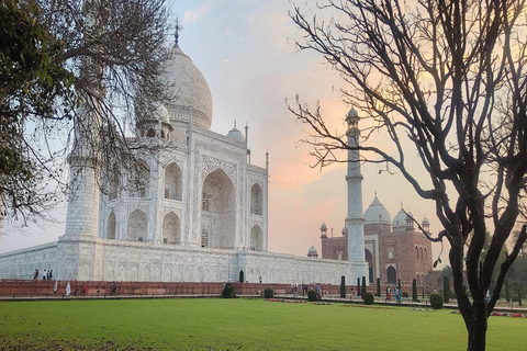 Desde Delhi: Excursión de un día al Taj Mahal en el tren expreso GatimaanDelhi: Excursión a Agra en tren expreso Gatiman