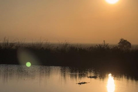 Parco nazionale di Nairobi, orfanotrofio degli elefanti e centro delle giraffeParco Nazionale di Nairobi, DSWT e Centro delle Giraffe senza ingresso