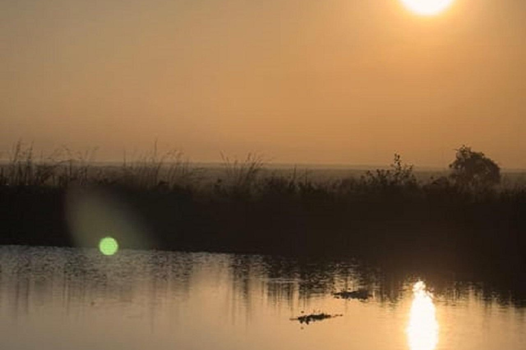 Parco nazionale di Nairobi, orfanotrofio degli elefanti e centro delle giraffeParco Nazionale di Nairobi, DSWT e Centro delle Giraffe senza ingresso