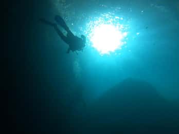 Gozo: esperienza di immersione subacquea per principianti