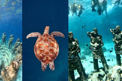 Private Snorkeling Tour Gili Trawangan,Gili Meno,Gili Air Start From: Senggigi,Mangsit,Mataram,Sira,Tanjung,Medana