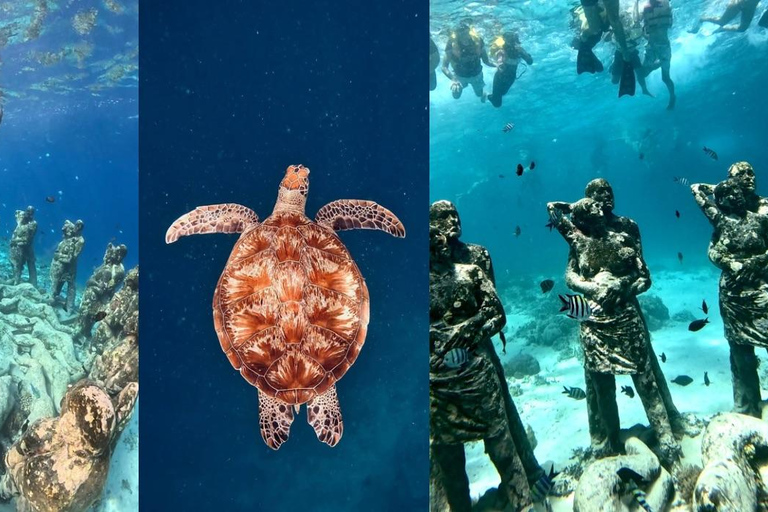 Private Snorkeling Tour Gili Trawangan,Gili Meno,Gili Air Start From: Senggigi,Mangsit,Mataram,Sira,Tanjung,Medana