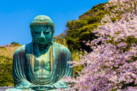 Tour Privado Personalizado Autoguiado de Un Día en Kamakura