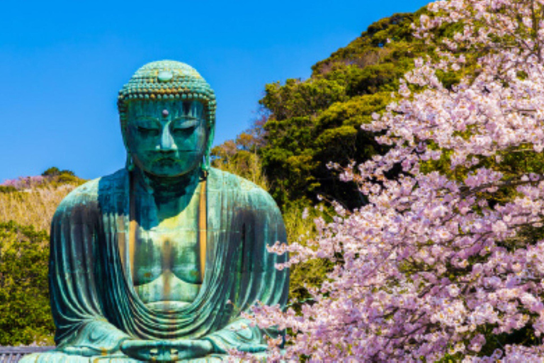 Eén dag privétour op maat met zelfleiding in Kamakura