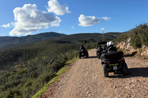 Athens Adventure Tour in Parnitha Mountain with 650cc ATVs Athens 3 Hours ATV Tour