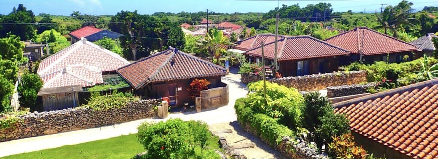 Ishigaki : excursion en SUP ou en canoë dans la mangrove et visite touristique de Taketomi