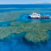 Cairns: Outer Great Barrier Reef Pontoon with Activities