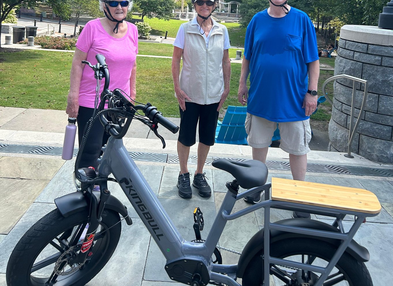 Asheville: Guidet tur på elcykel
