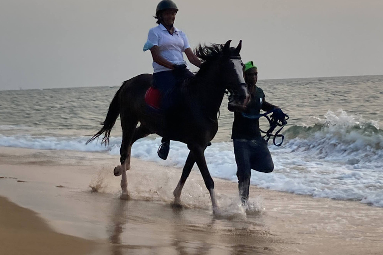 Horse Riding in Port City