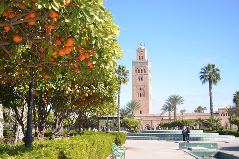 Marrakech: Ben Youssef Madrasa, hemlig trädgård och Medina TourPrivat tur