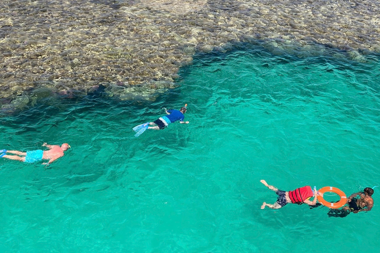 Sharm el-Sheikh : Croisière premium Ras Mohammed & île blancheSharm el-Sheikh : Croisière supérieure à Ras Mohammed et sur l'île blanche