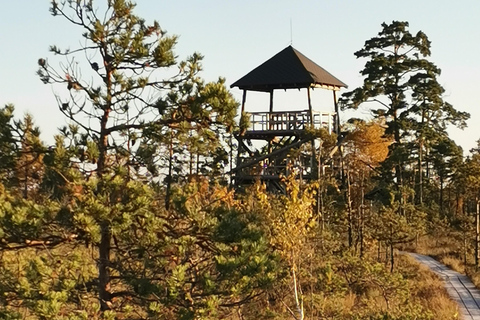 Cenas Bog trail near Riga for Nature lovers