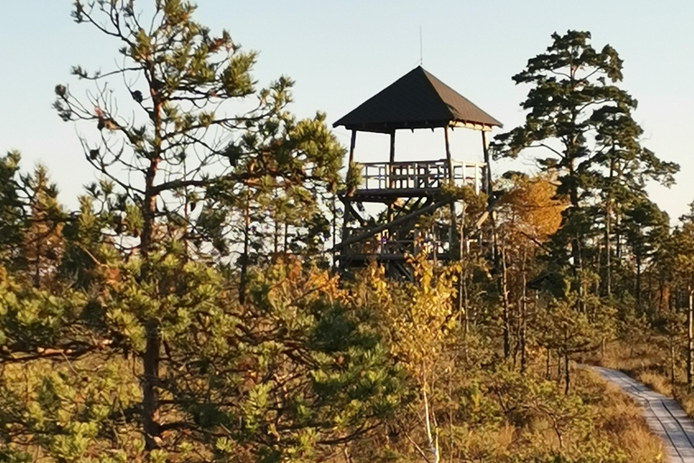 Cenas Bog trail near Riga for Nature lovers