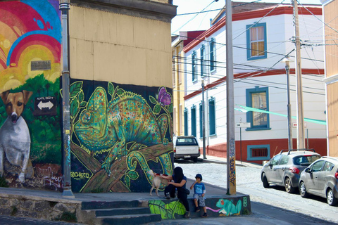 From Santiago: Full-Day Tour of Viña del Mar and Valparaiso