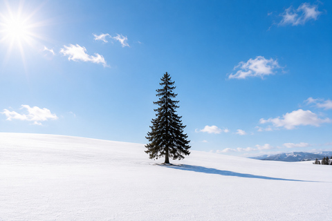 From Sapporo: Snow Fun, Shirahige Falls & Ningle Terrace