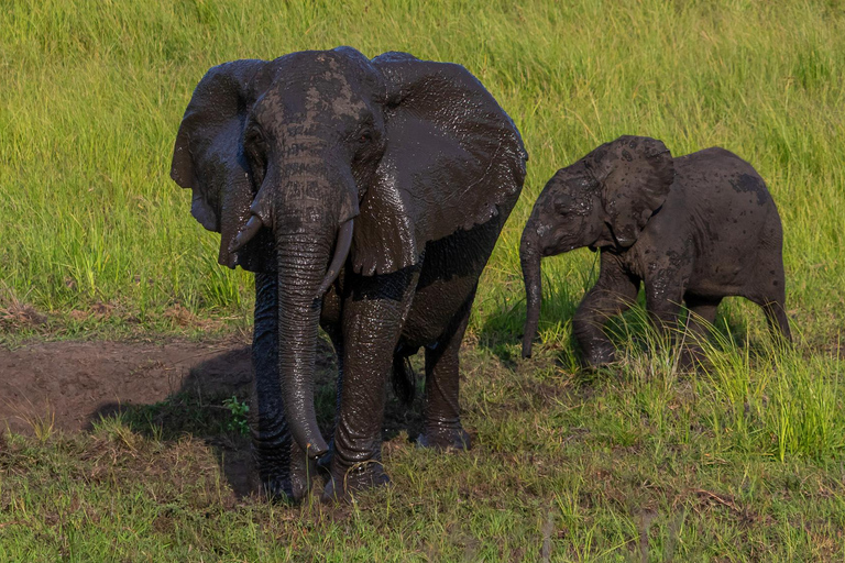 From Maputo: 2-Day Safari & Ocean Hideaway at Maputo Reserve