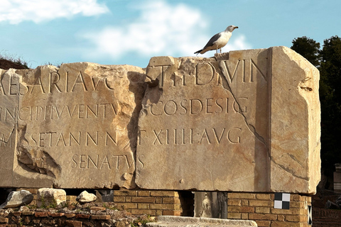 Roma: Colosseo, Foro Romano e Palatino 10 pax
