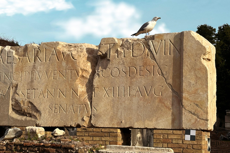 Roma: Colosseo, Foro Romano e Palatino 10 pax