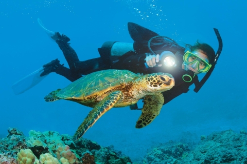 Découvrez Alanya : Visite immersive sous l'eau !
