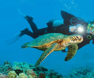 Alanya: Aventura de buceo para principiantes y profesionales