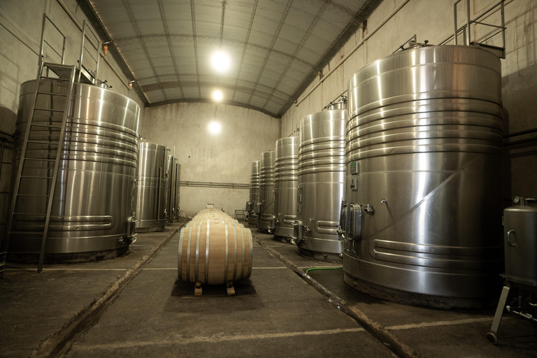Cafayate: Tour de dia completo por bodegas y degustacion de vinos