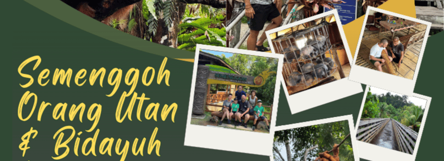 Orangs-outangs de Kuching et longhouse de Bidayuh