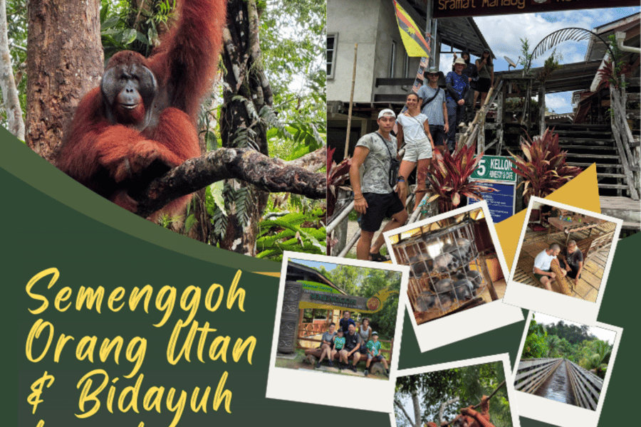 Orang-Utan & Bidayuh-Langhaus in Kuching. Foto: GetYourGuide