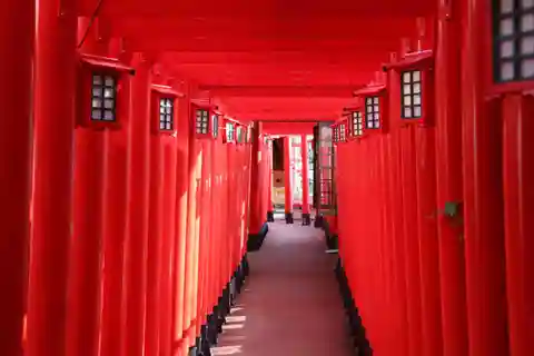 Naha: Guided E-Bike Tour of the 12 Zodiac Temples