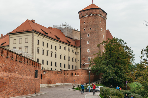 Cracovie : visite guidée de la colline du WawelVisite de groupe en anglais