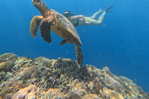 Lombok: Tour in barca delle isole Gili Nanggu, Sudak e Kedis