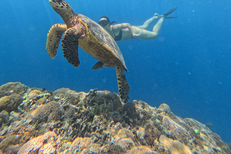 Lombok: Tour in barca delle isole Gili Nanggu, Sudak e Kedis