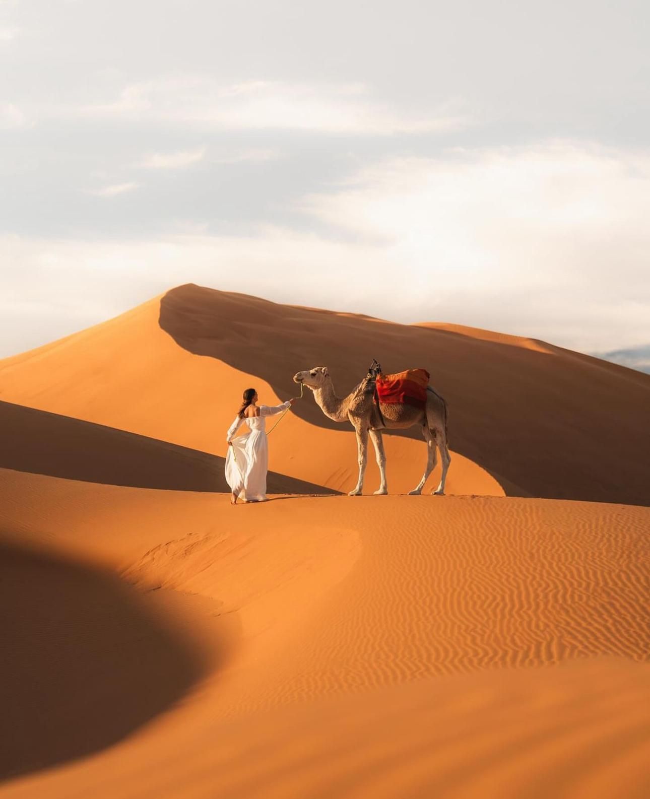Majestätische Wüste: 3-tägige Luxusreise von Marrakesch nach Fes