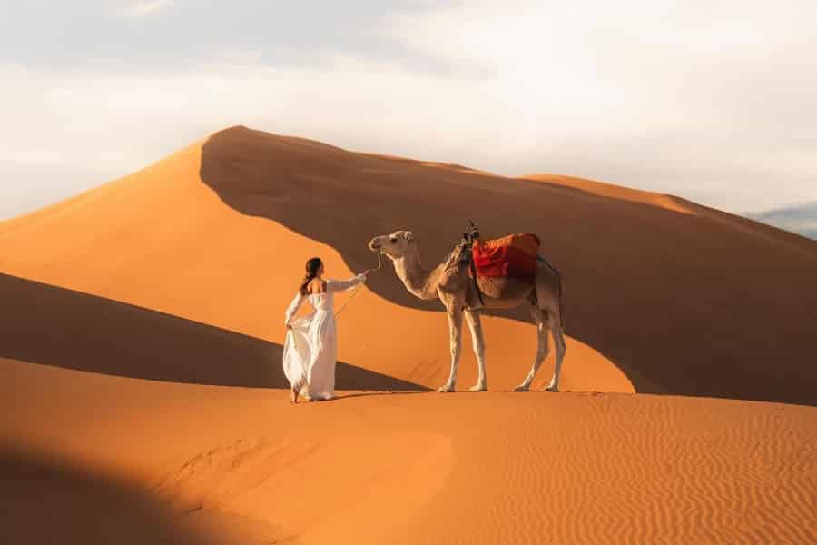 Majestätische Wüste: 3-tägige Luxusreise von Marrakesch nach Fes. Foto: GetYourGuide Majestätische Wüste: 3-tägige Luxusreise von Marrakesch nach Fes. Foto: GetYourGuide