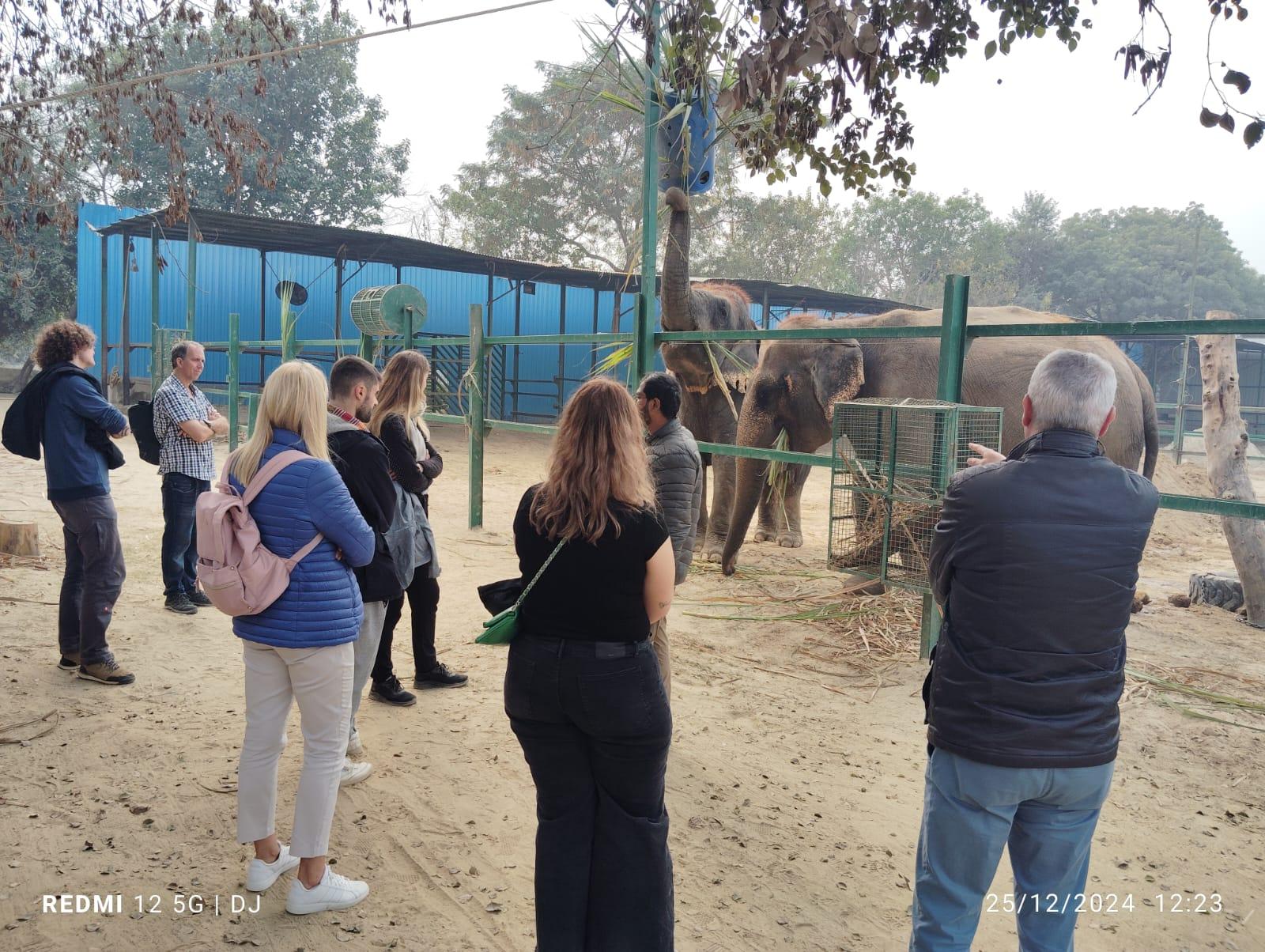 Von Agra aus: SOS Elephant Conservation & Bear Rescue Tagestour