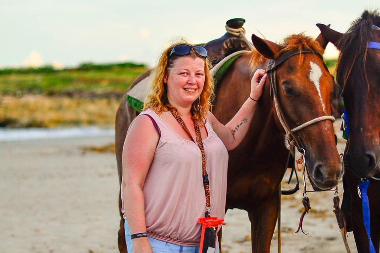 Punta Cana: Paardrijden bij zonsondergang aan het strand met ophaalservice vanaf je hotelWe kunnen altijd coördineren als we beschikbaar zijn.