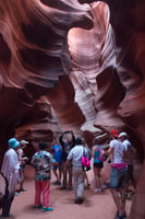 LA, San Francisco, Yosemite, Vegas, Antelope 8-Day Tour - Housity