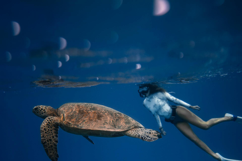 Discover Snorkeling Tour In The North Of Mauritius