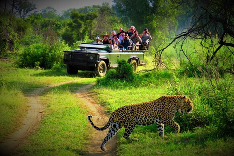 Kathmandu: 4-Day Private Chitwan National Park Safari Tour