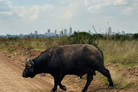 Nairobi Park Safari, Sheldrick's Orphanage & Giraffe Center Shared Drive in Open-Roof Van Game Drive